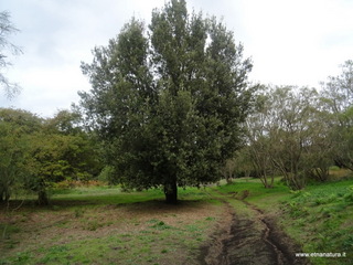 sco di Centorbi-18-10-2020 13
